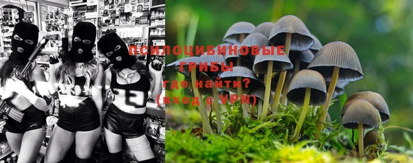 круглые Вяземский