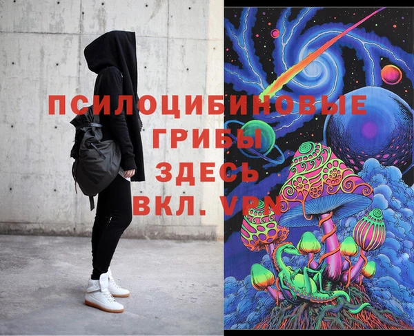 круглые Вяземский